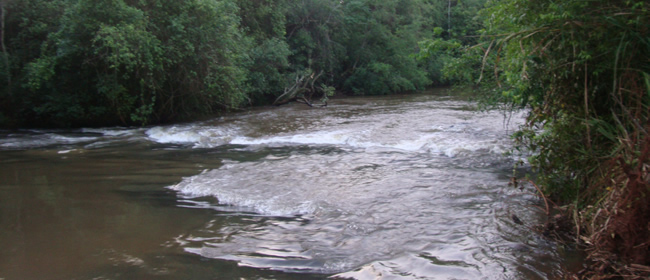 Rio Ligerio - Município de Terra Boa/PR